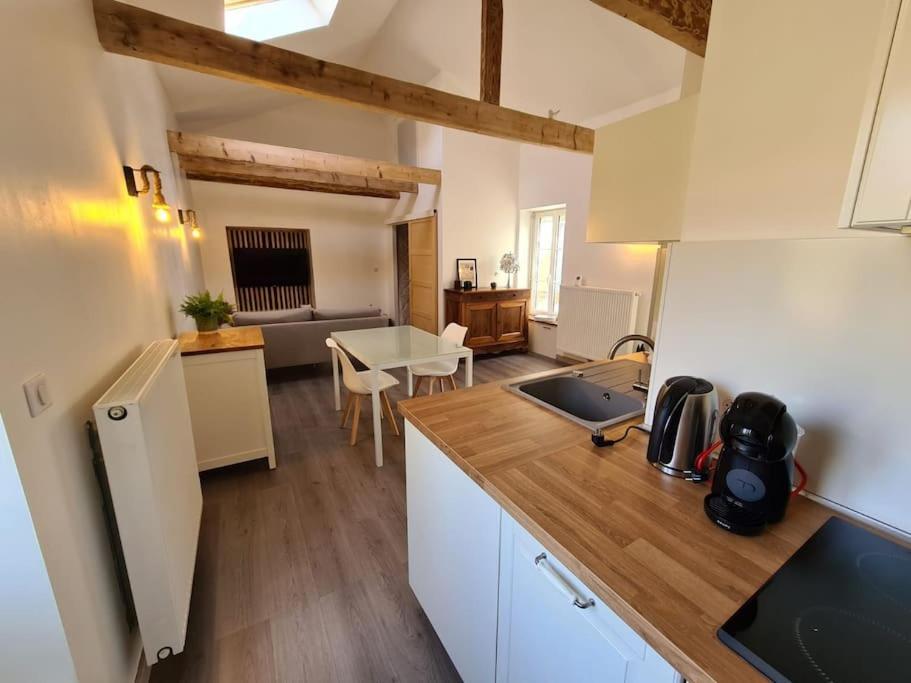 Joli Appartement Tout Confort Chalon-sur-Saône Kültér fotó